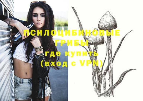 эйфоретик Алексеевка