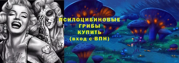 МДПВ Абдулино