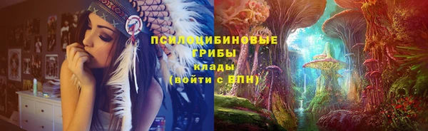 эйфоретик Алексеевка